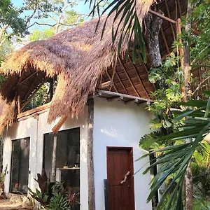 https://selva-roca-tulum.quintano-roohotels.com